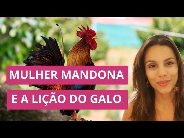 MULHER MANDONA E O GALO  Laura Maia